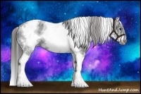 Horse Color:White Spotted Black Splash Tobiano Frame Appaloosa 