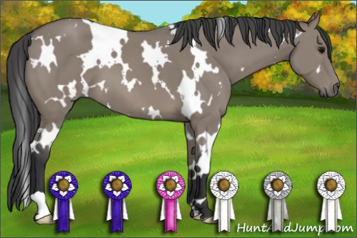 Horse Color: White Spotted Grullo 
