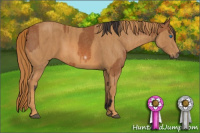 Horse Color:Bay Splash Frame Brindle