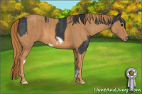 Horse Color:Blue Roan Splash Frame  Brindle