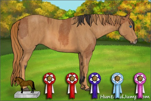 Horse Color: Bay Roan Splash Frame  Brindle