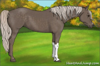 Horse Color:Silver Black 