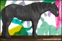 Horse Color:Black  Brindle