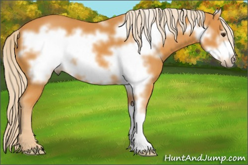 Horse Color: Chocolate Palomino Frame 