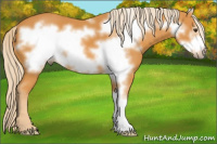 Horse Color:Chocolate Palomino Frame 