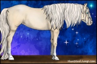 Horse Color:Palomino Pearl Sabino Splash 