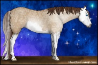 Horse Color:Gray Red Dun Ice Splash 