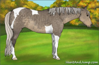 Horse Color:Silver Smoky Grullo Tobiano 