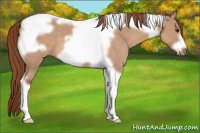 Horse Color:Red Dun Tobiano Frame