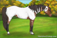 Horse Color:Bay Roan Near Fewspot 