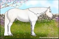 Horse Color:Gray Silver Amber Cream Champagne Roan Dun Splash Tobiano Frame Varnish Rabicano 
