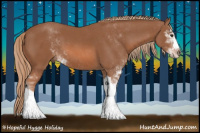 Horse Color:Chestnut Sabino 