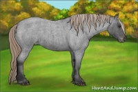 Horse Color:Liver Red Roan Varnish 