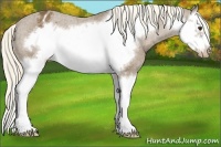 Horse Color:Chocolate Palomino Splash Frame Blanket 
