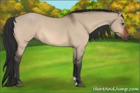 Horse Color:Bay Roan Dun Rabicano 