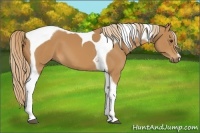 Horse Color:Chestnut Tobiano 