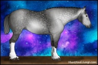 Horse Color:Gray Black  Brindle