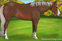 Horse Color:Silver Brown Sabino 