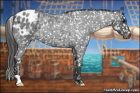 Horse Color:Blue Roan Appaloosa 
