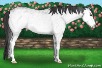 Horse Color:White Spotted Black 