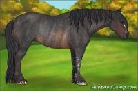 Horse Color:Brown Rabicano Brindle