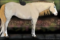 Horse Color:Watercolor Red Dun Ice Splash 