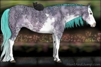 Horse Color:Watercolor Bay Ice Dun Sabino Splash Rabicano 