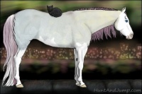 Horse Color:Watercolor Red Dun Ice Splash Rabicano 