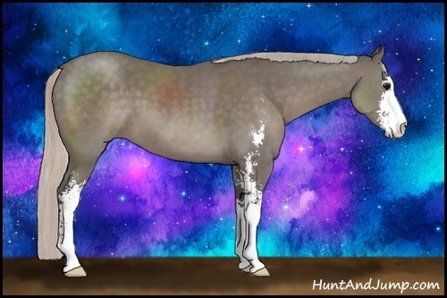 Horse Color: Silver Black Sabino 