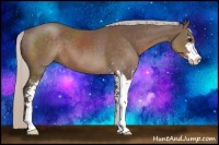 Horse Color:Silver Black Sabino 