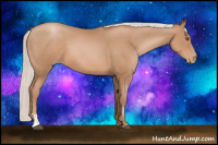Horse Color:Silver Black Pearl Sabino 