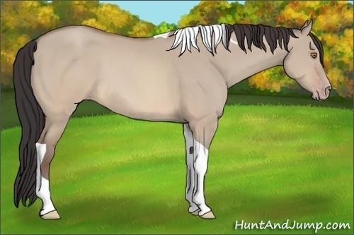 Horse Color:Sable Champagne Dun Tobiano 