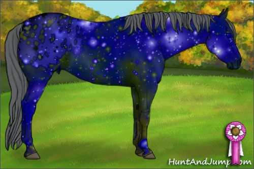 Horse Color: ERROR: UNKNOWN ANOMALY