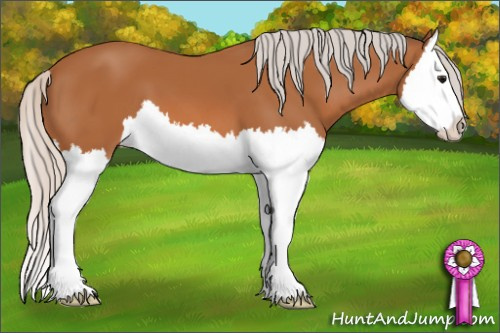 Horse Color: Silver Bay Splash 