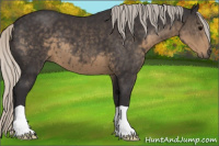 Horse Color:Silver Smoky Black 