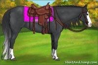 Horse Color:Blue Roan Splash 