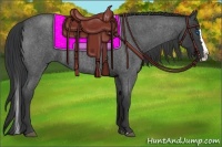 Horse Color:Blue Roan Splash 