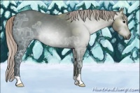 Horse Color:Gray Silver Black Ice