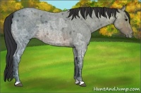 Horse Color:Brown Ice Roan 