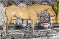 Horse Color:Silver Buckskin 