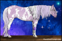 Horse Color:Watercolor White Spotted Silver Buckskin Dun