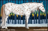Horse Color:Chestnut Appaloosa 