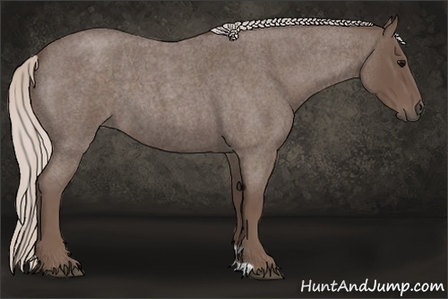 Horse Color: Silver Blue Roan 