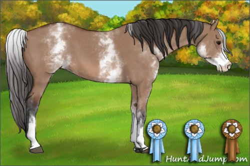 Horse Color: White Spotted Bay Dun 