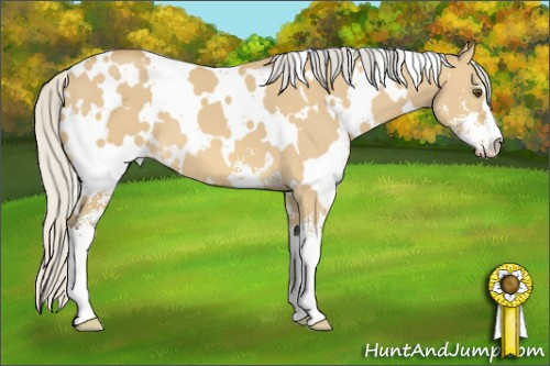 Horse Color: White Spotted Silver Buckskin Dun Sabino 