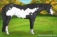 Horse Color:Black Frame 