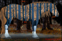 Horse Color:Brown Sabino Rabicano Brindle