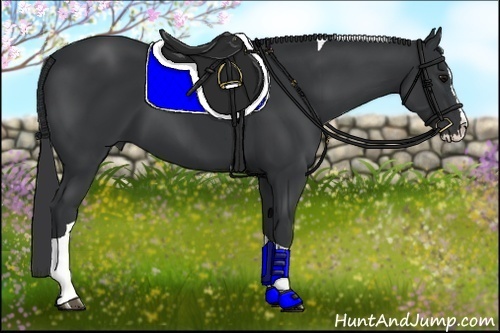 Horse Color:Black Splash Tobiano