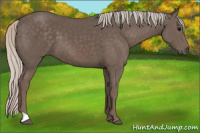 Horse Color:Silver Black 