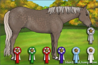 Horse Color:Silver Black 